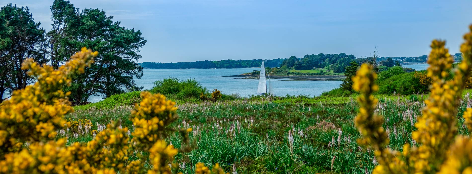 camping tourisme balade a velo ile aux moines